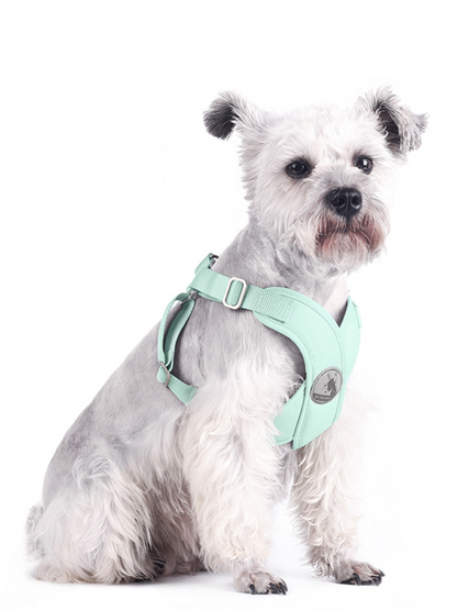Pet Chest Strap Vest-Style Dog Leash Pet Supplies