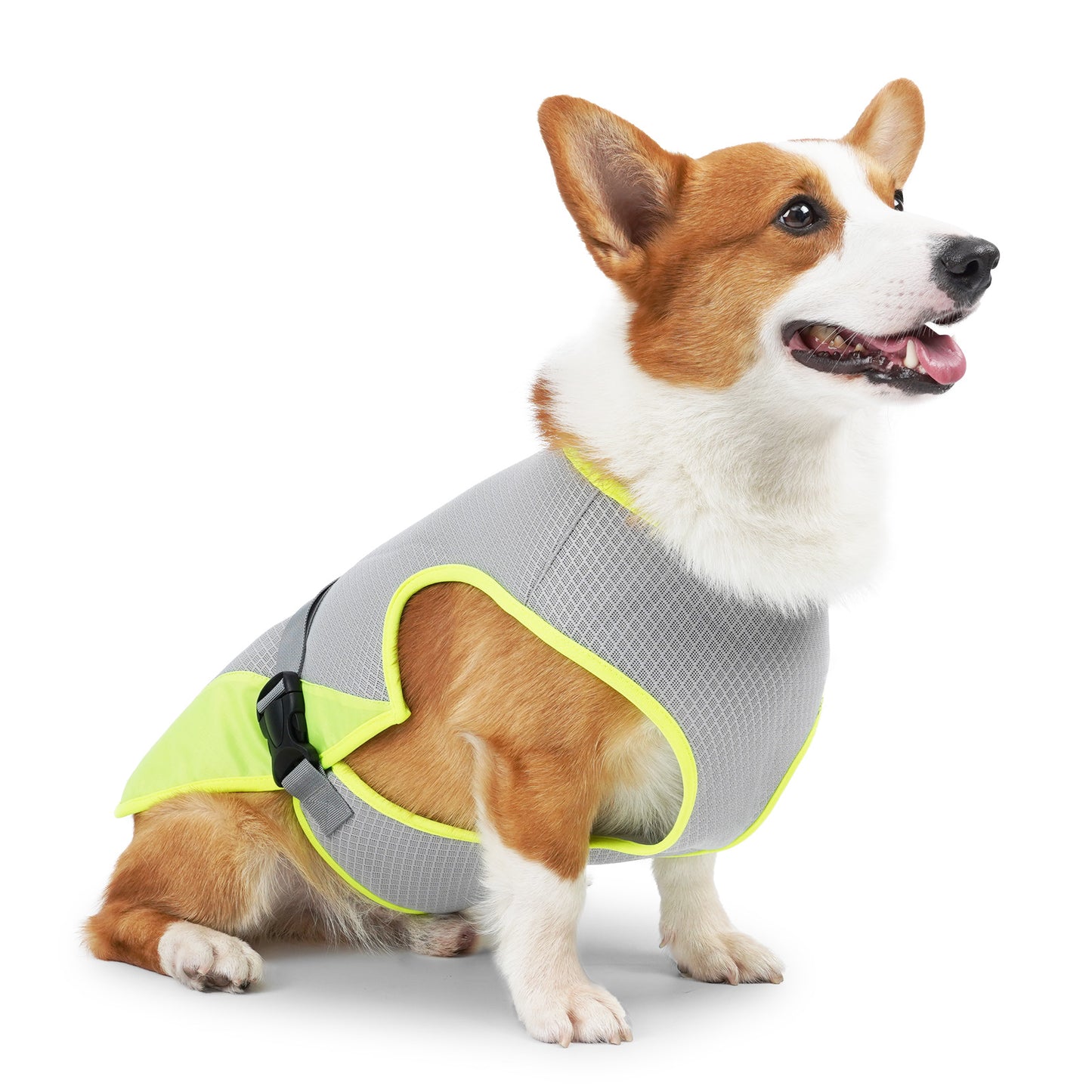 Pet Clothing Dog Clothing Pet Cooling Pet Supplies