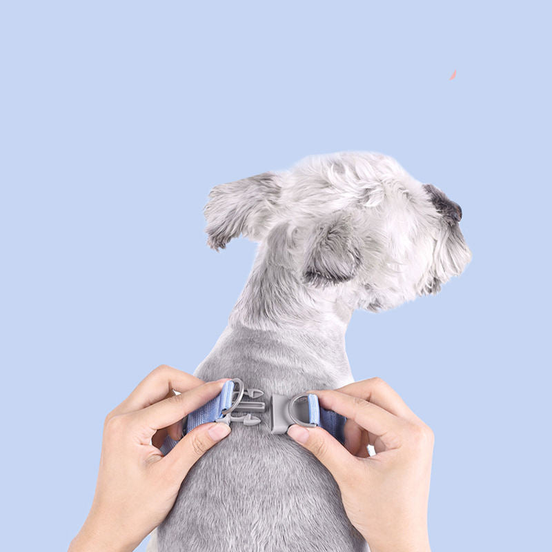 Pet Chest Strap Vest-Style Dog Leash Pet Supplies
