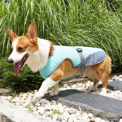 Pet Clothing Dog Clothing Pet Cooling Pet Supplies