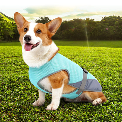 Pet Clothing Dog Clothing Pet Cooling Pet Supplies